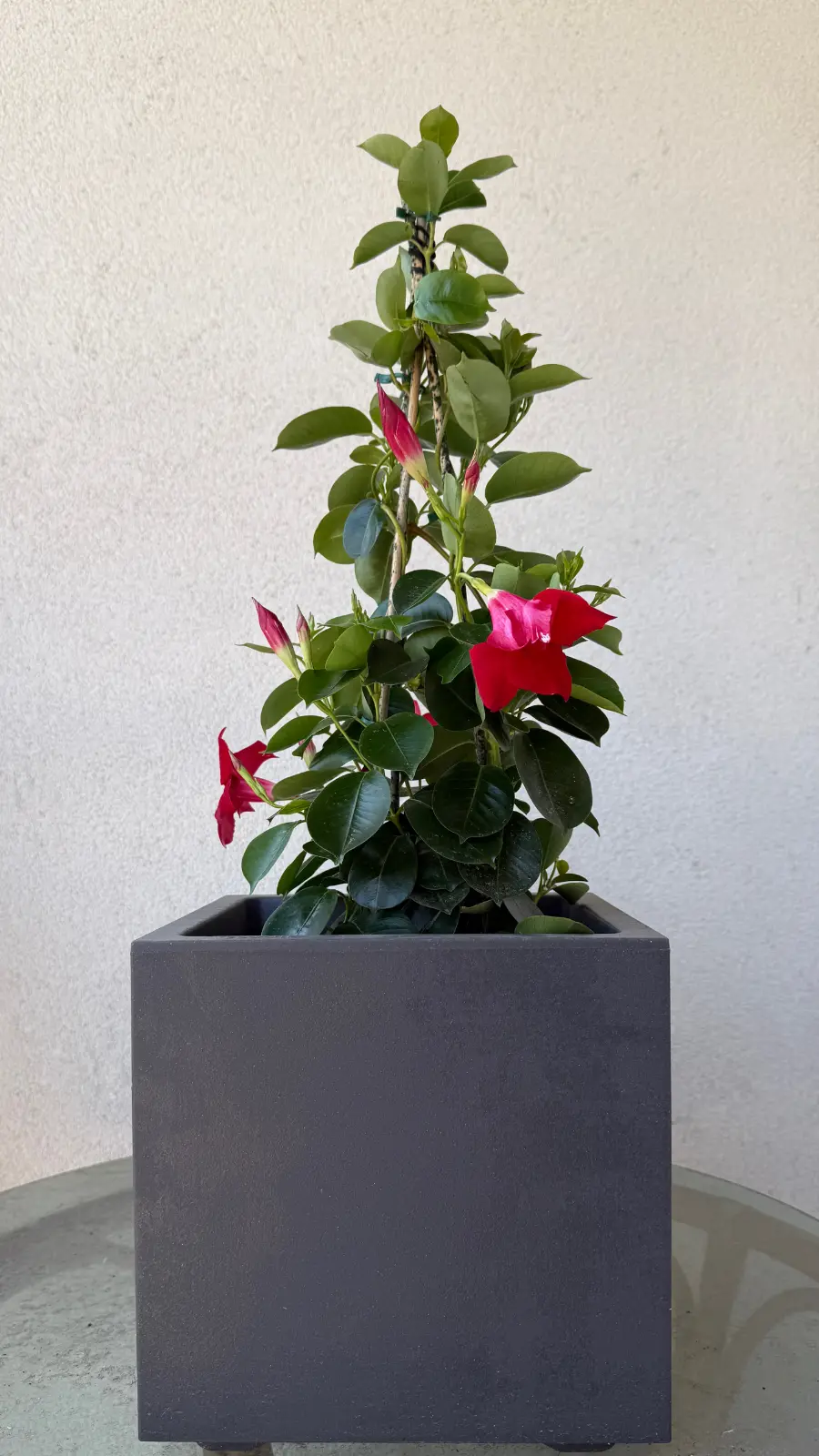 Image 2.webp
