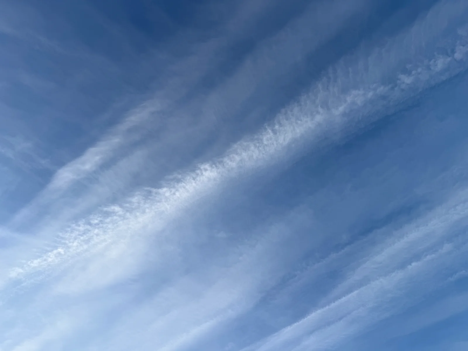 IMG_2500.webp