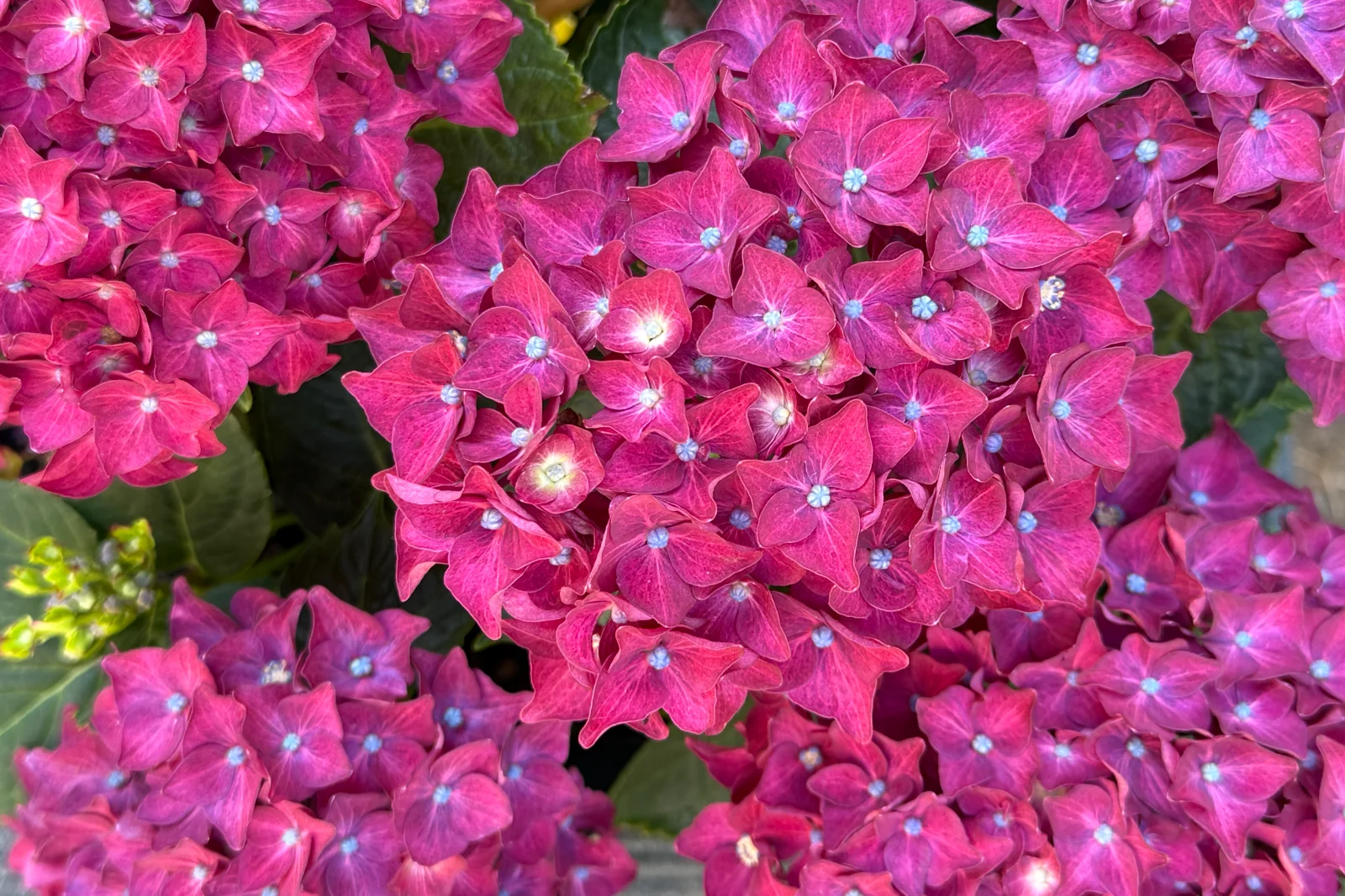 IMG_4696.webp