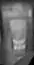 phone app.webp