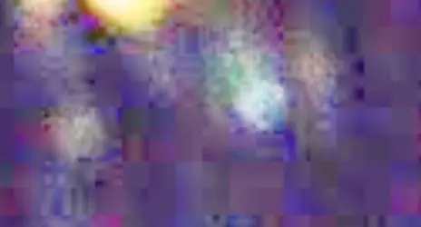 detail2.webp