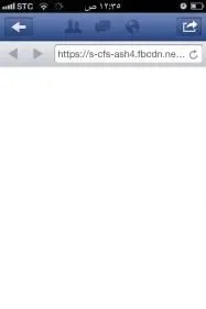 $IMG_0731.webp