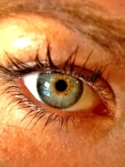 $eye2.webp