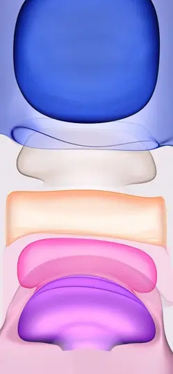 Purple-Light.webp