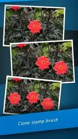 $Screenshot4@2x-4inches.webp