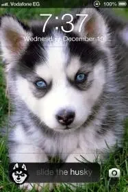 $Photo Dec 19, 7 37 19 PM.webp