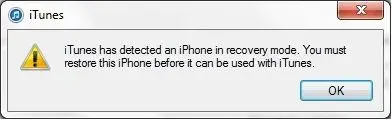 $iPhone Recovery Mode.webp