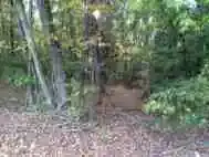 $ImageUploadedByTapatalk1381709015.592831.webp