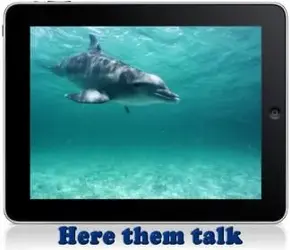 $Dolphin.webp