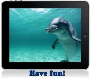 $Dolphin 2.webp