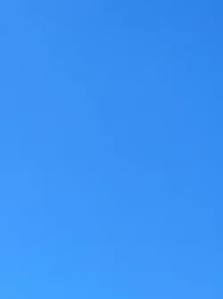 IMG_4515.webp