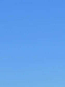 IMG_4740.webp
