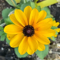 Photos taken with the iPhone 16 Series