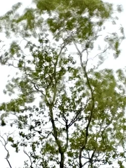 IMG_4831.webp