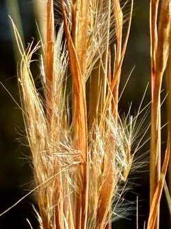 Photos taken with the iPhone 16 Series