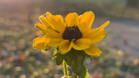 Photos taken with the iPhone 18 series