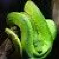 Bikki