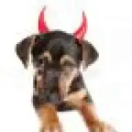 Devilpuppy1969