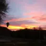 la_bolt_fan