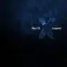 lyanzwalker