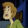 Shaggy