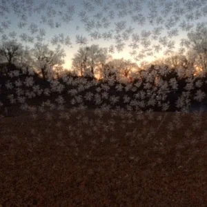 Frosty Morning