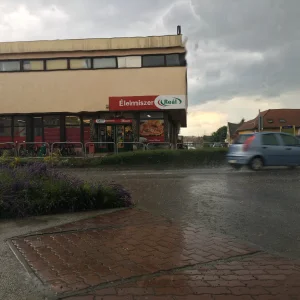 image.jpeg