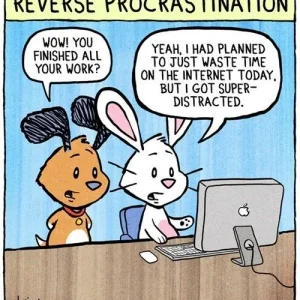 image.jpeg