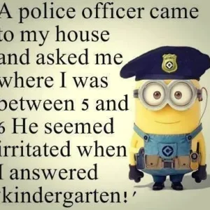image.jpeg