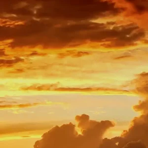 img2.PNG