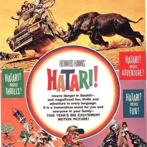7b6d978e92db6e9db3a95fb1223b201d--hatari-movie-elephant-film.jpg