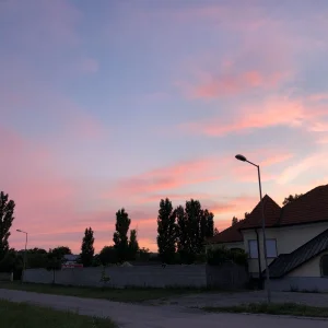 FFE261CE-8490-4867-96EF-E8ED232B4454.jpeg