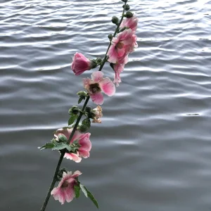 4BFFDF3D-C154-46F9-9E7A-22DE1C3C4414.jpeg
