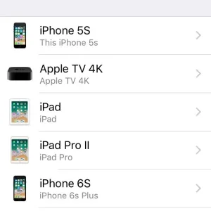 IMG_1531881392.497443.jpg