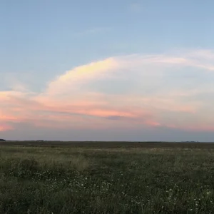 E374BD2C-9FDB-4424-B57B-E6438D887540.jpeg