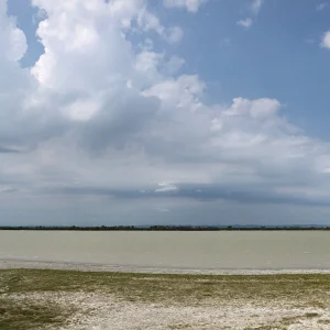 D3D68863-26BA-4E5D-BBA7-6F25A6AC192F.jpeg