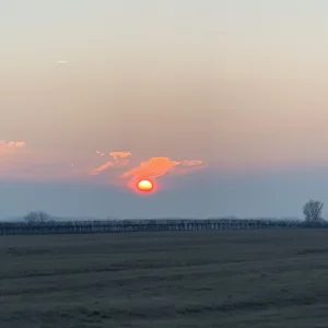 4937F1BD-4EDA-4F21-AA4E-E3525C593313.jpeg