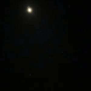 FE331D96-B337-4695-A714-04F2F953632D.jpeg