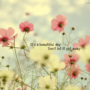 IMG_4063.png