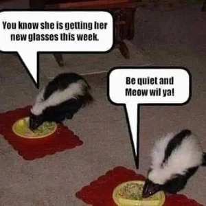 6F7F53F5-F271-4444-B50A-CE86496BE176.jpeg