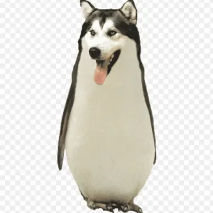 1361C050-B7AE-4F03-B8FE-6466F1A4BB58.png