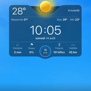 IMG_3828.png