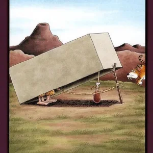 IMG_4558.png