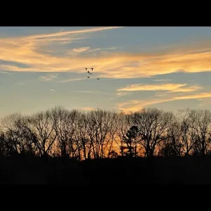 IMG_0614.png