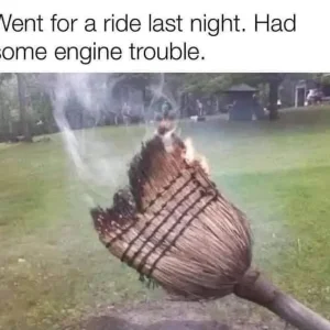 3A30B0F6-9E78-4EA0-A908-E1002C7D1686.jpeg