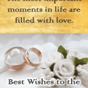 EDE2A6D6-A62F-44CA-8C81-9E86E0AA946F.png