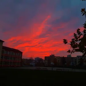 20221111_201405.jpg