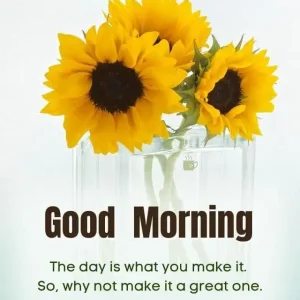 5C6F560C-B6CF-4F54-9B2E-45821D037252.jpeg