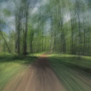 65CE2B61-3028-4DD0-9E37-B64AB07196DA.jpeg