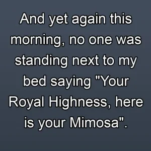 IMG_4353.jpeg